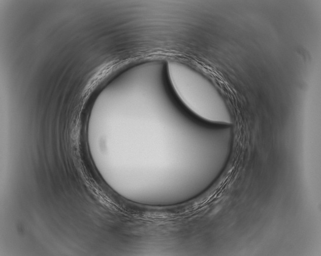 X0000112060242200908041017