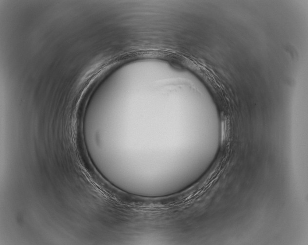 X0000112060243200908041017