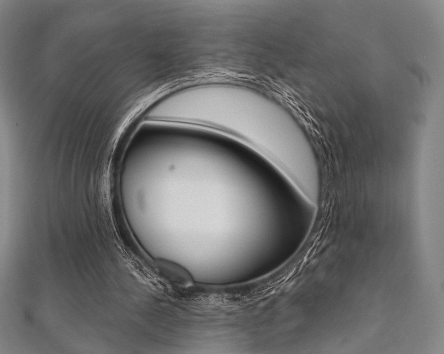 X0000112060244200908041017