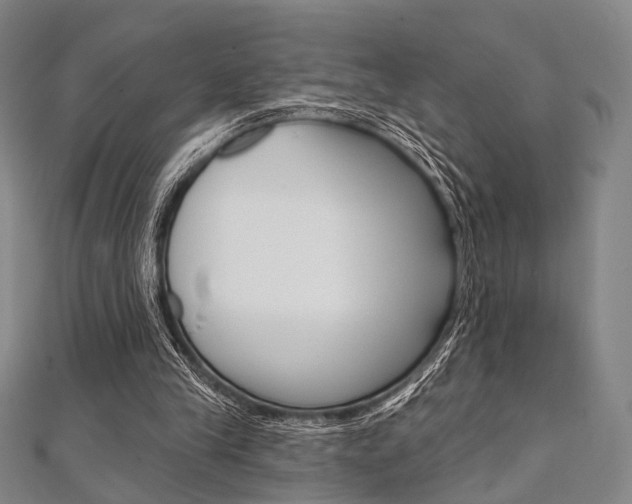 X0000112060245200908041017