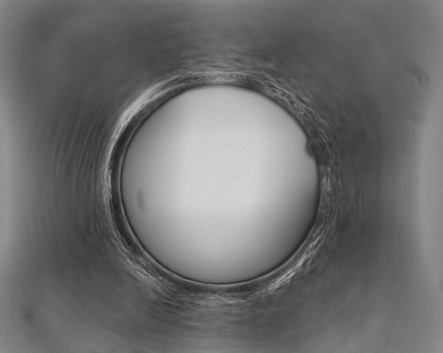 X0000112060246200908041017
