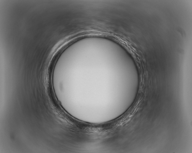 X0000112060247200908041017