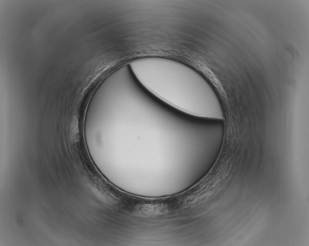 X0000112060251200908041017
