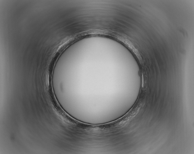 X0000112060253200908041017