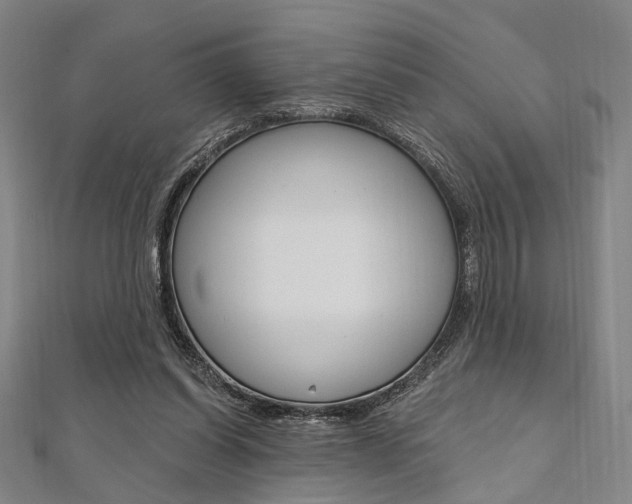 X0000112060254200908041017