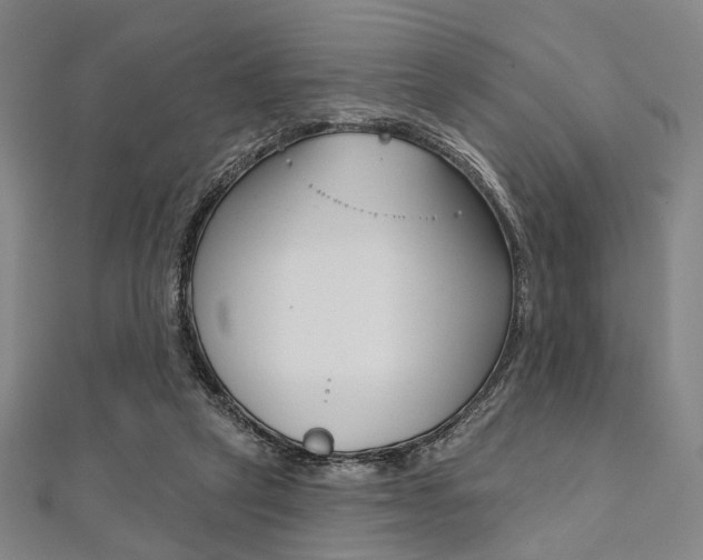 X0000112060257200908041017