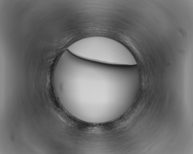 X0000112060259200908041017