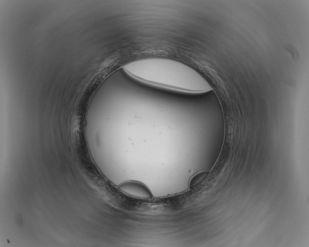 X0000112060260200908041017