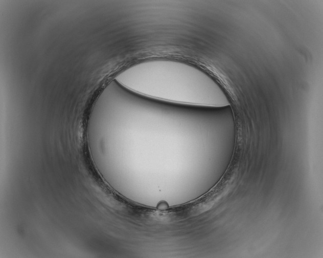 X0000112060261200908041017