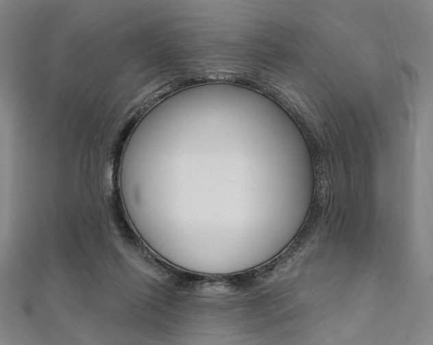 X0000112060262200908041017