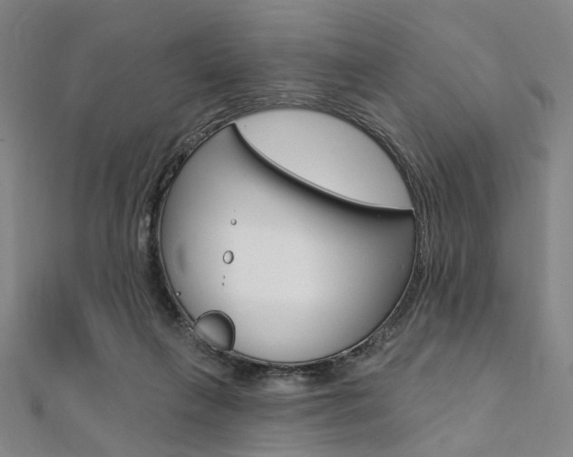 X0000112060263200908041017