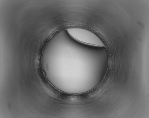 X0000112060264200908041017