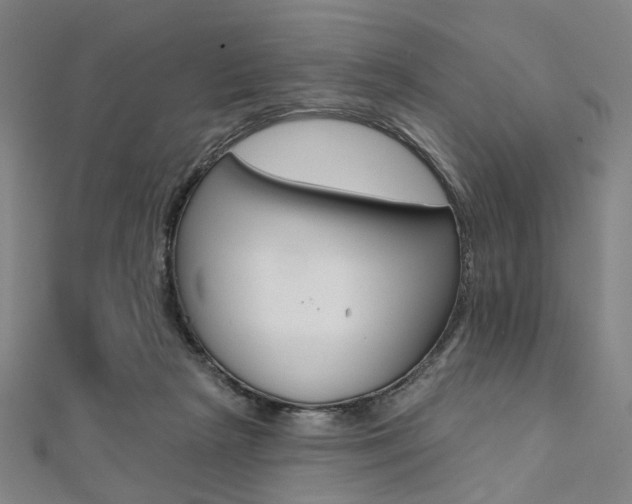 X0000112060265200908041017