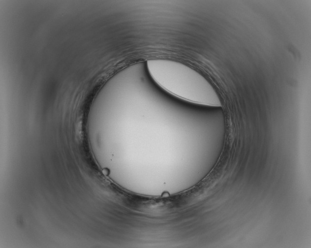 X0000112060267200908041017