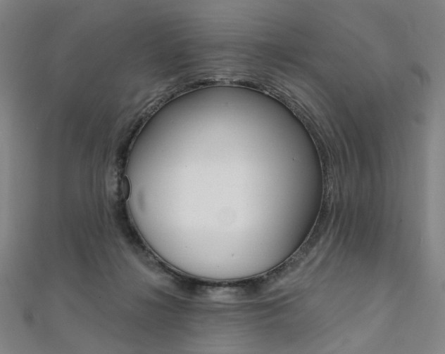X0000112060268200908041017