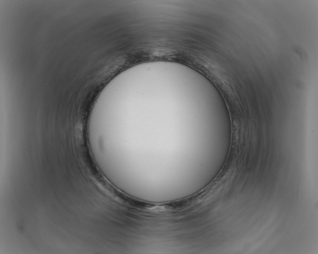 X0000112060269200908041017