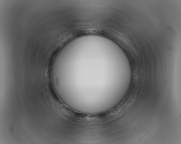X0000112060270200908041017