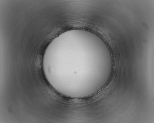 X0000112060273200908041017