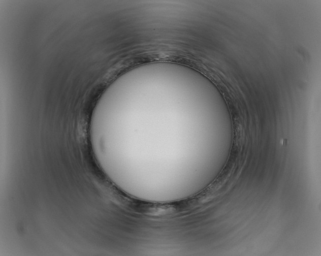 X0000112060274200908041017