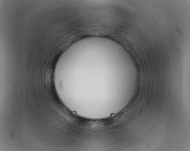 X0000112060275200908041017