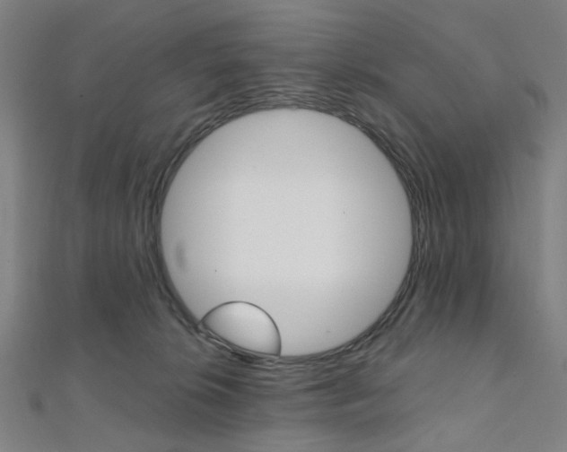 X0000112060276200908041017