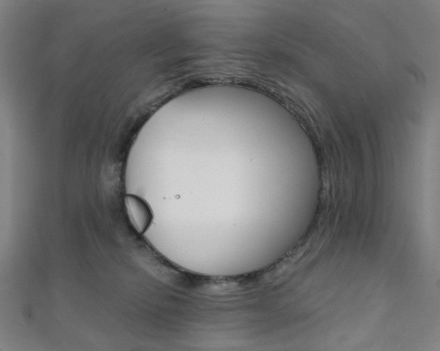 X0000112060278200908041017