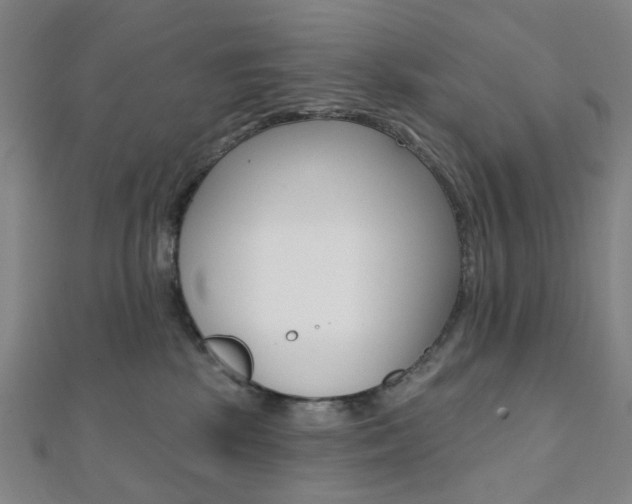 X0000112060281200908041017