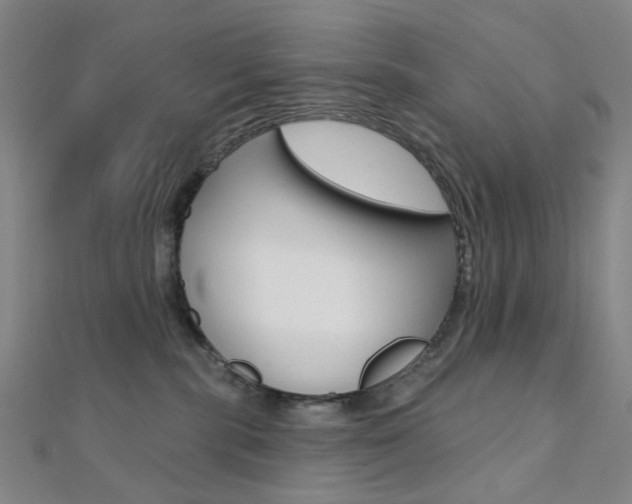 X0000112060283200908041017