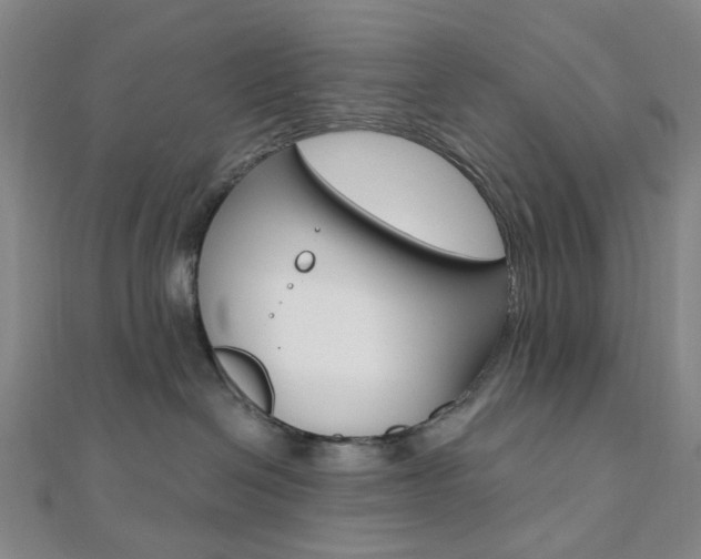 X0000112060286200908041017