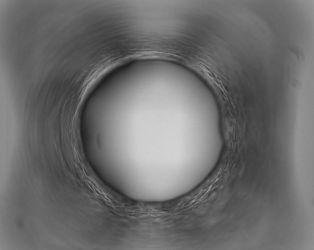 X0000112060289200908041017