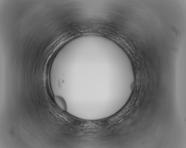X0000112060290200908041017