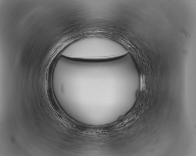 X0000112060291200908041017