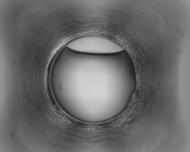 X0000112060292200908041017