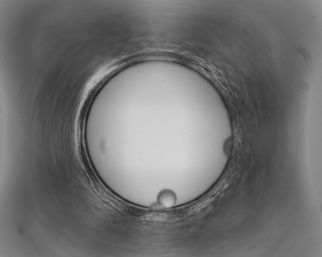 X0000112060294200908041016
