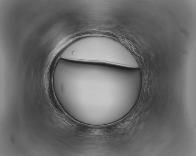 X0000112060295200908041016