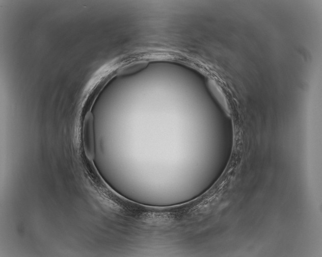 X0000112060296200908041016