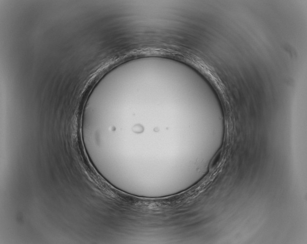 X0000112060297200908041016