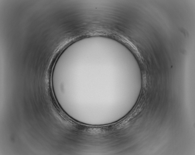 X0000112060298200908041016