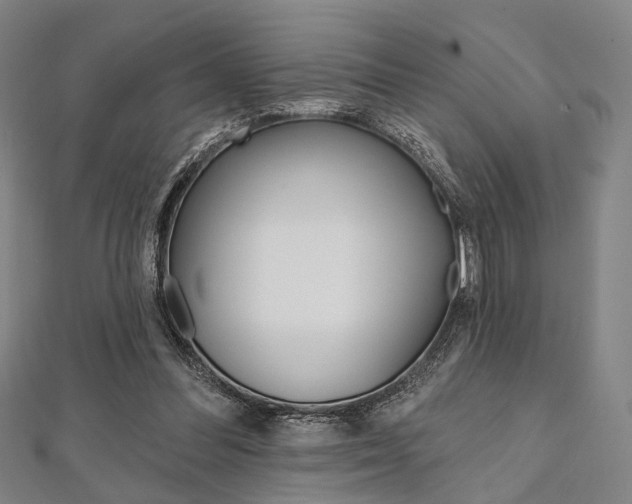 X0000112060300200908041016