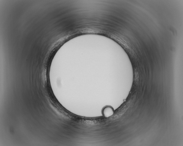 X0000112060302200908041016