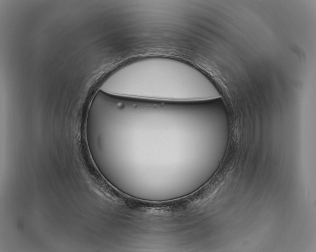 X0000112060303200908041016