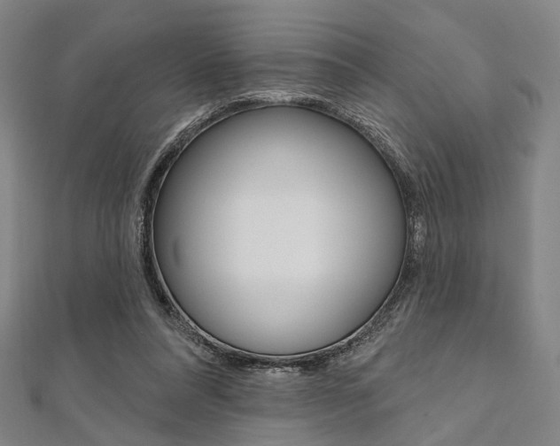 X0000112060304200908041016