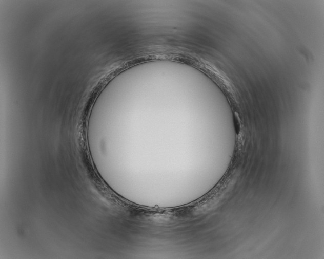 X0000112060306200908041016