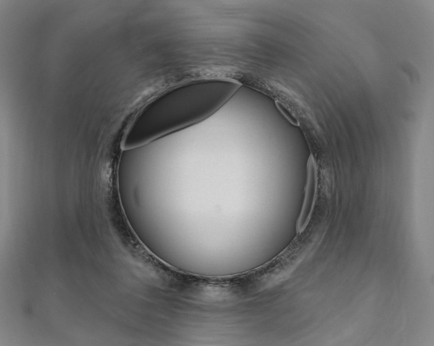 X0000112060308200908041016