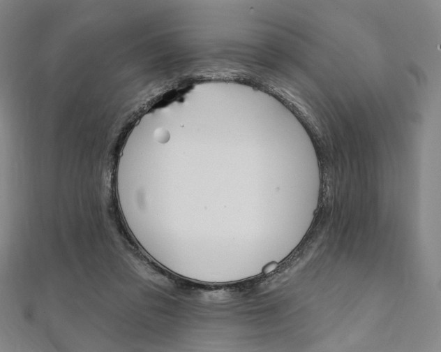 X0000112060309200908041016