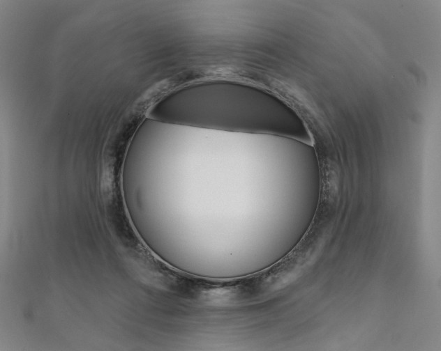 X0000112060312200908041016