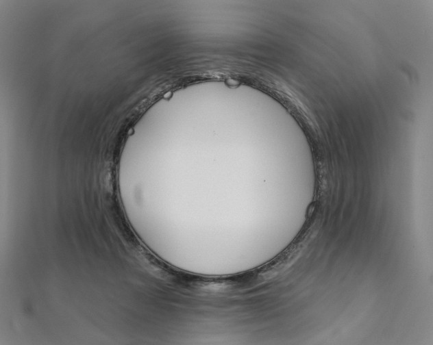 X0000112060313200908041016