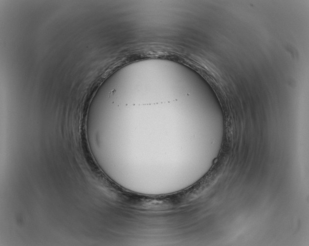 X0000112060315200908041016