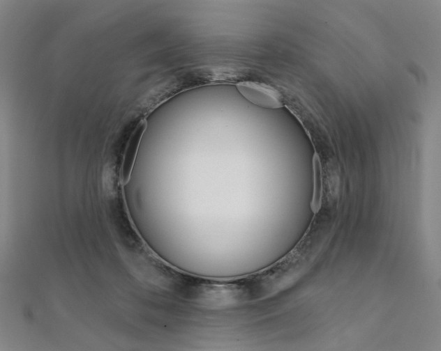 X0000112060316200908041016