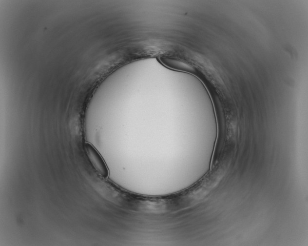 X0000112060317200908041016